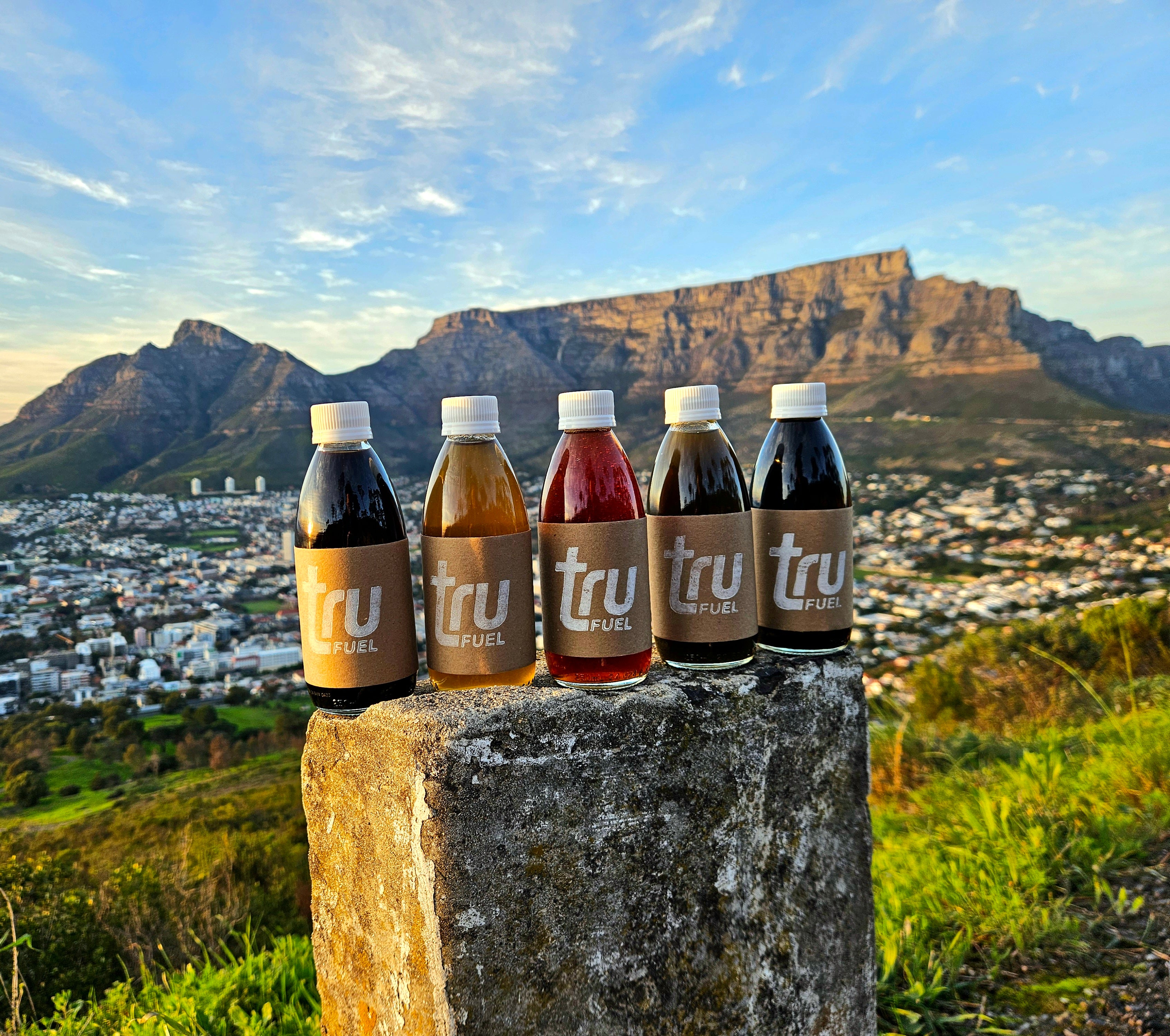 Five tru fuel bottles on a stone ledge with Table Mountain in the background