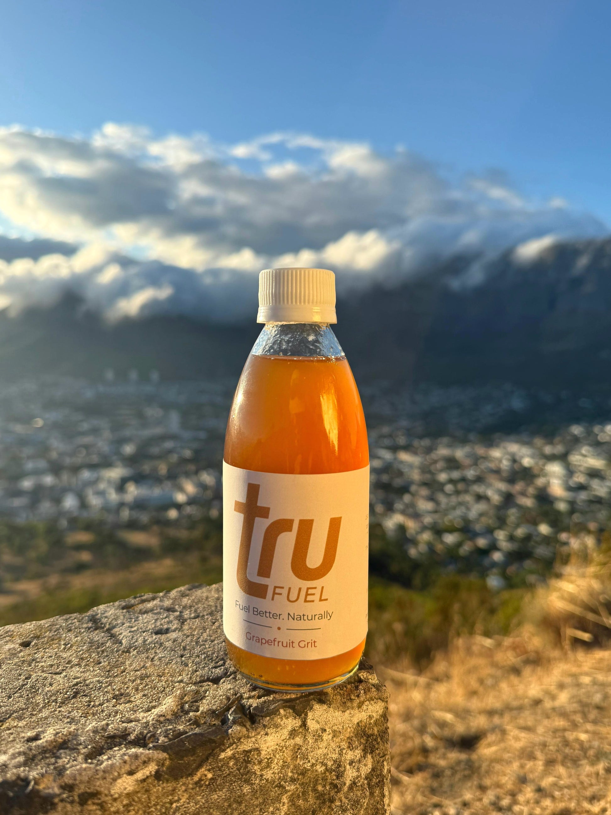 Bottle of tru Fuel on a rock with a scenic mountain view in the background