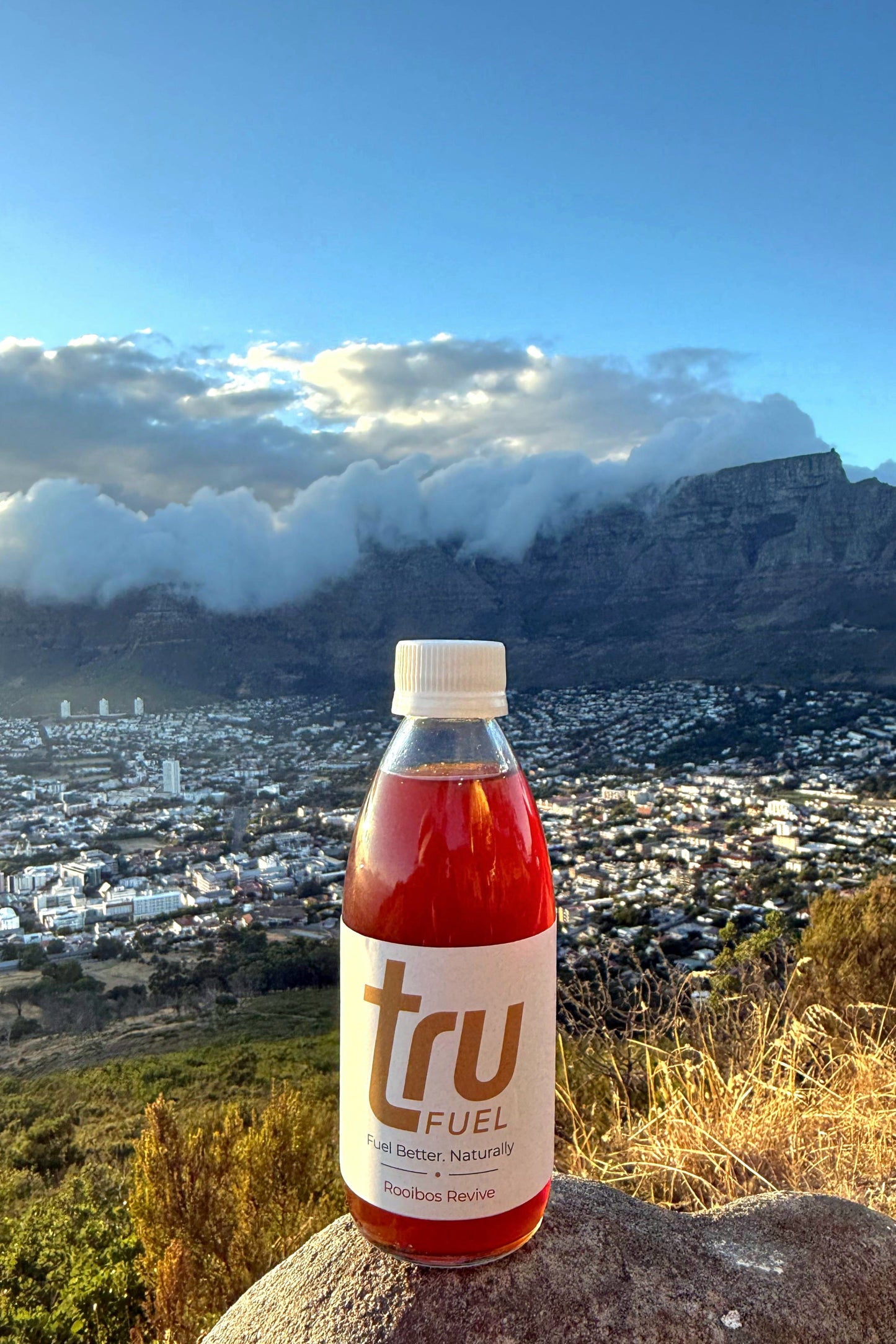 Bottle of tru Fuel against a scenic backdrop with mountains and cityscape