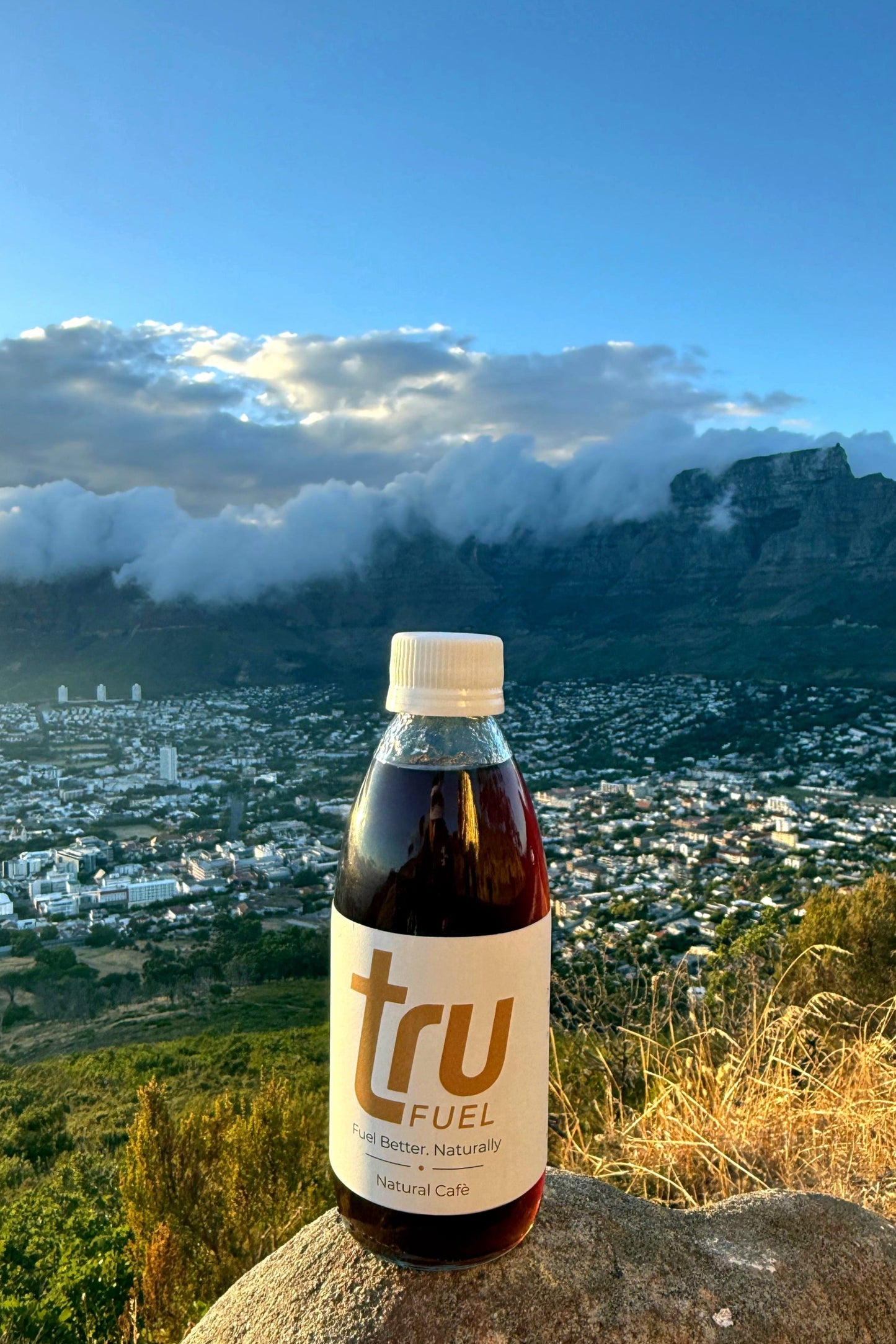 trufuel bottle on a rock with a scenic mountain view in the background