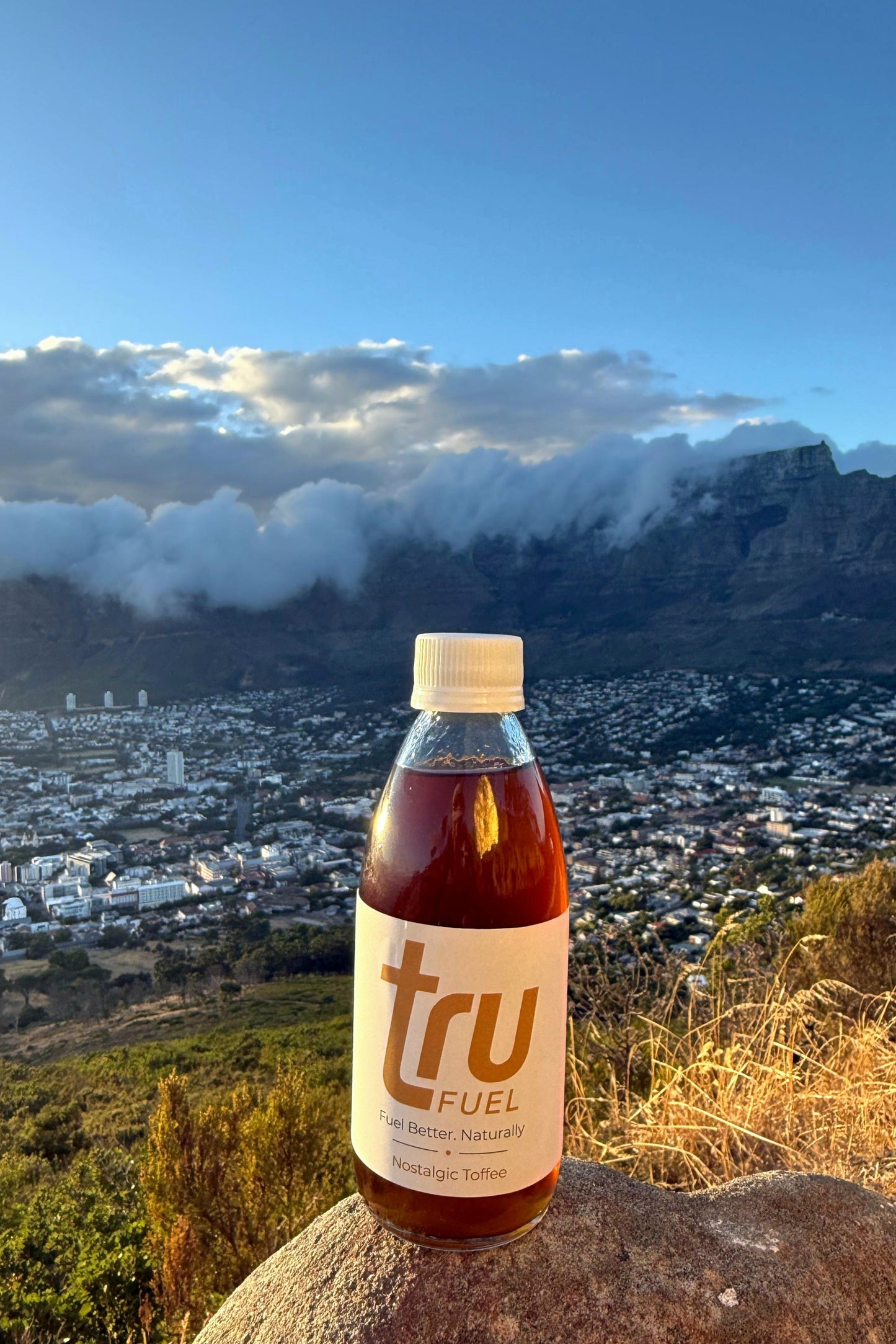 Bottle of tru Fuel on a rock with a scenic view of a city and mountains in the background